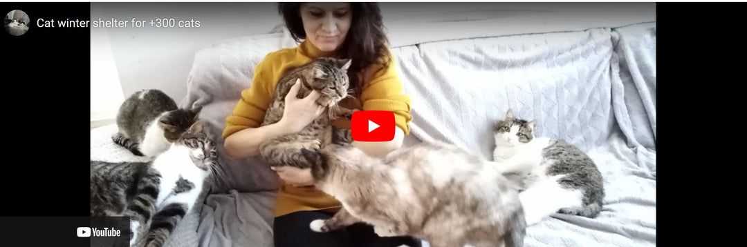 Animal Rescue Shelter in Romania